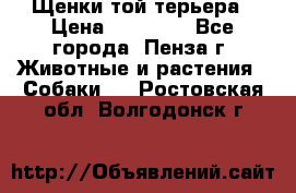 Щенки той терьера › Цена ­ 10 000 - Все города, Пенза г. Животные и растения » Собаки   . Ростовская обл.,Волгодонск г.